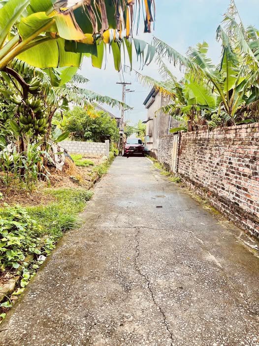 Bán đất huyện Thái Thụy, tỉnh Thái Bình giá 7 triệu