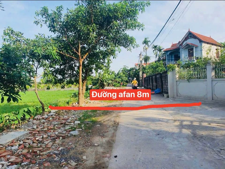 Đất biệt thự Phú Thọ Kim Động, Văn Giang, sổ đỏ sẵn sàng, giá nhỉnh 3 tỷ