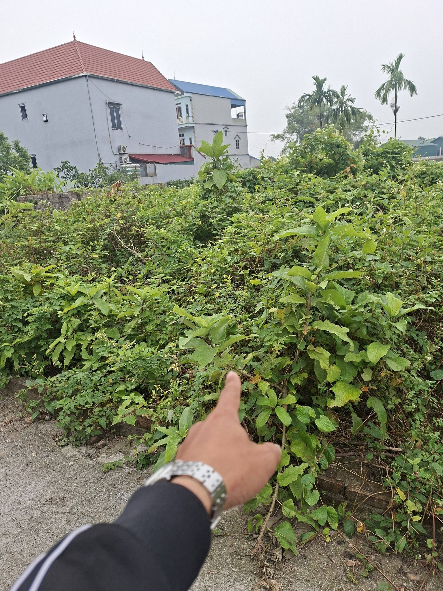 Chính chủ gửi bán lô đất Tân Ước, Thanh Oai, Hà Nội, 40.5m², giá nhỉnh 3 tỷ