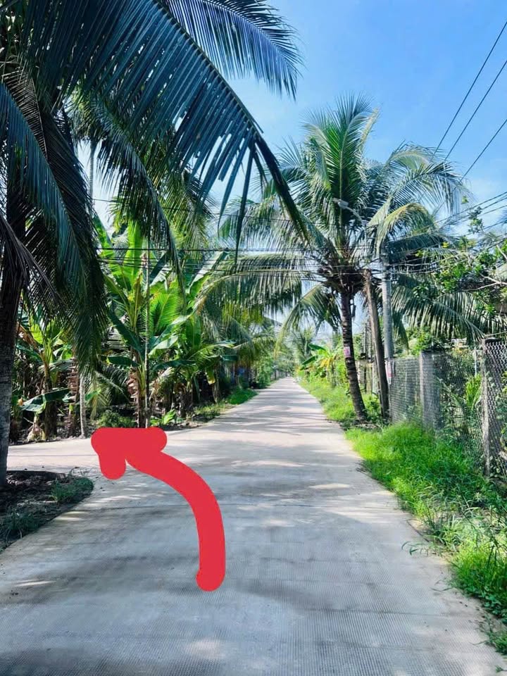 Bán đất Nhơn Thạnh cách cầu Bến Tre 3 chỉ 500m, ô tô tới đất vi vu, giá 790 triệu