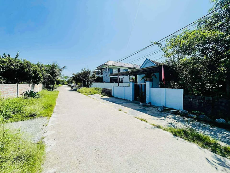 Bán đất tặng nhà cấp 4 mặt tiền đường Trần Nguyên Đán, giá đi nhanh 630 triệu