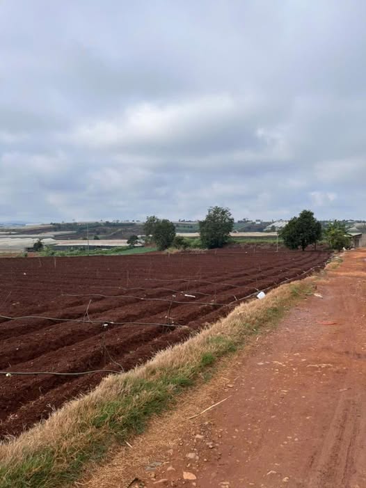 Bán đất Thạnh Mỹ, Đơn Dương, diện tích 2800m2, giá 3.8 tỷ