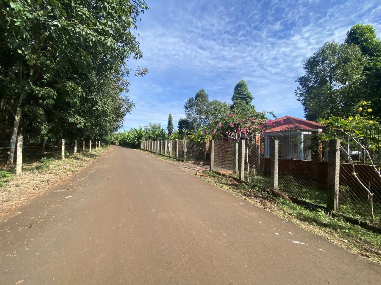 Bán 2 lô đất F0 vừa mới tách cực đẹp thuộc Long Phước, phường Tam Long