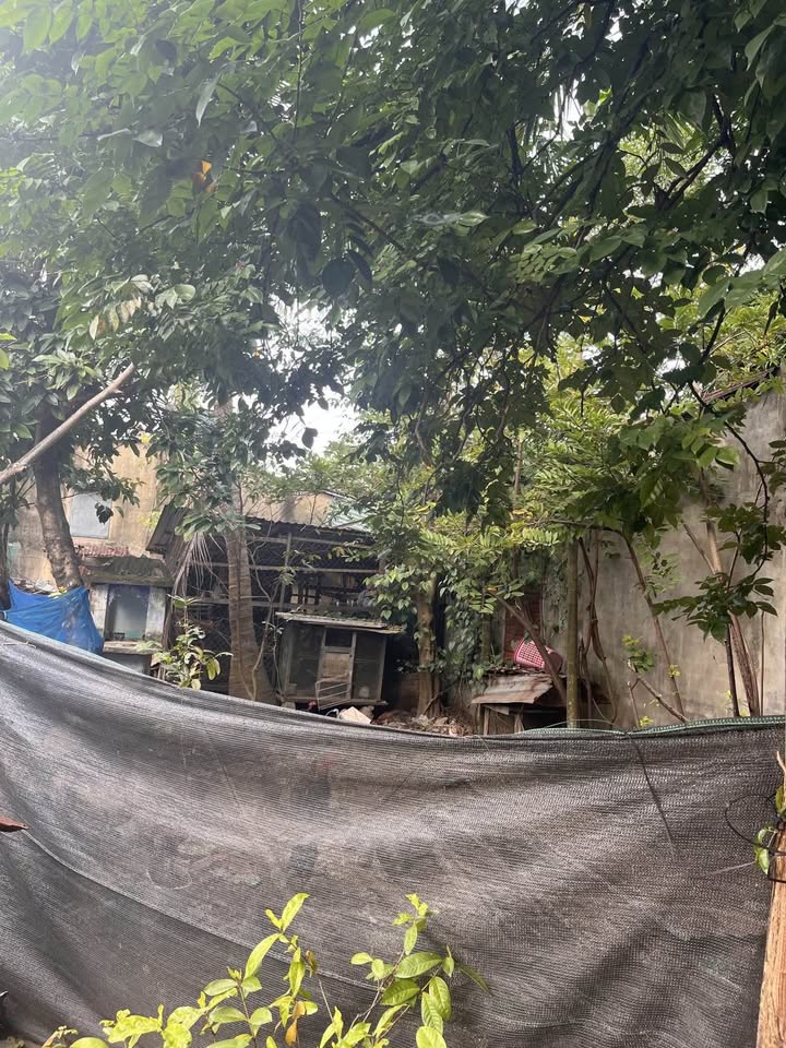 Bán đất kiệt Bàu Năng 11, Liên Chiểu, gần biển, gần công viên, cách ô tô đậu đỗ 15m