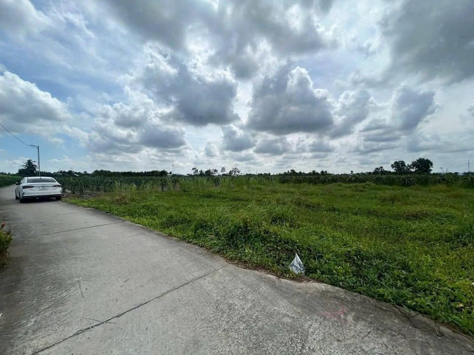 Bán đất thổ đường bê tông 4m thuộc ấp 7, Phước Tân Hưng, Châu Thành, Long An, giá 350 triệu