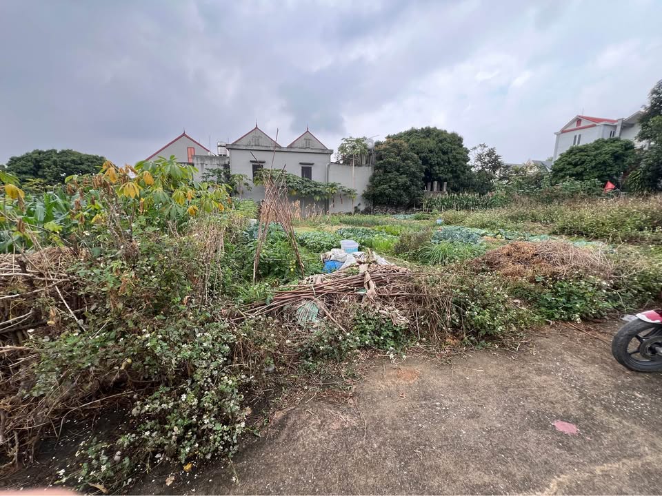 Bán lô đất khu phố Ngọc Xá, Quế Võ, gần trường học, trạm y tế