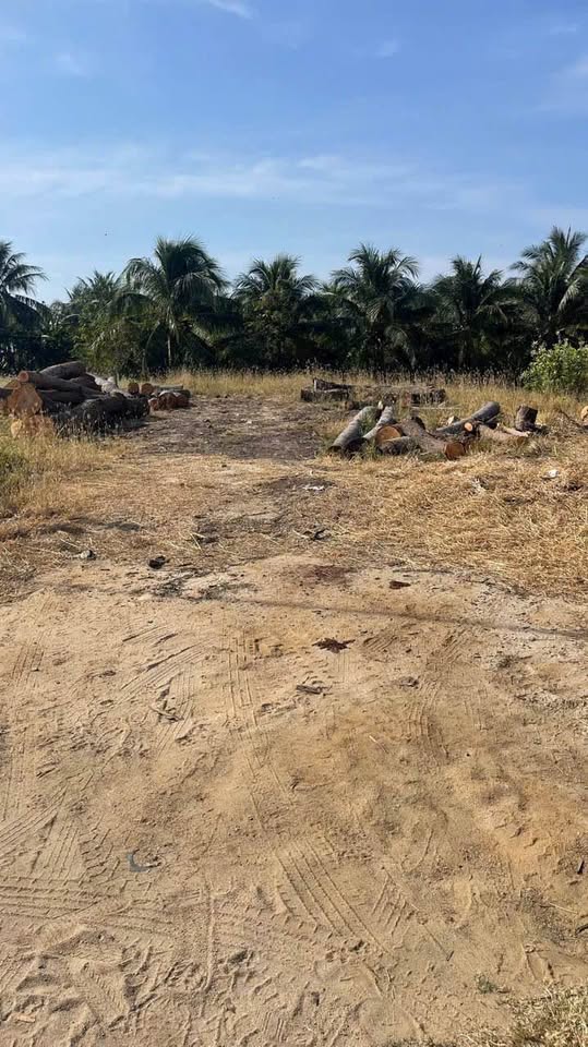 Bán lô đất đẹp mặt đường Phan Đăng Lưu, phường Phước Mỹ, thành phố Phan Rang, 555m2, giá 1.9 tỷ