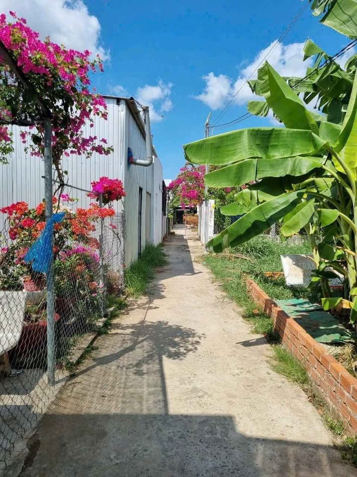 Bán đất thành phố Bến Tre tỉnh Bến Tre, giá 470 triệu