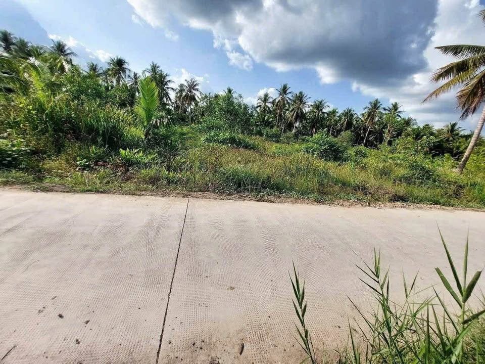 Bán đất huyện Giồng Trôm, tỉnh Bến Tre giá 450 triệu