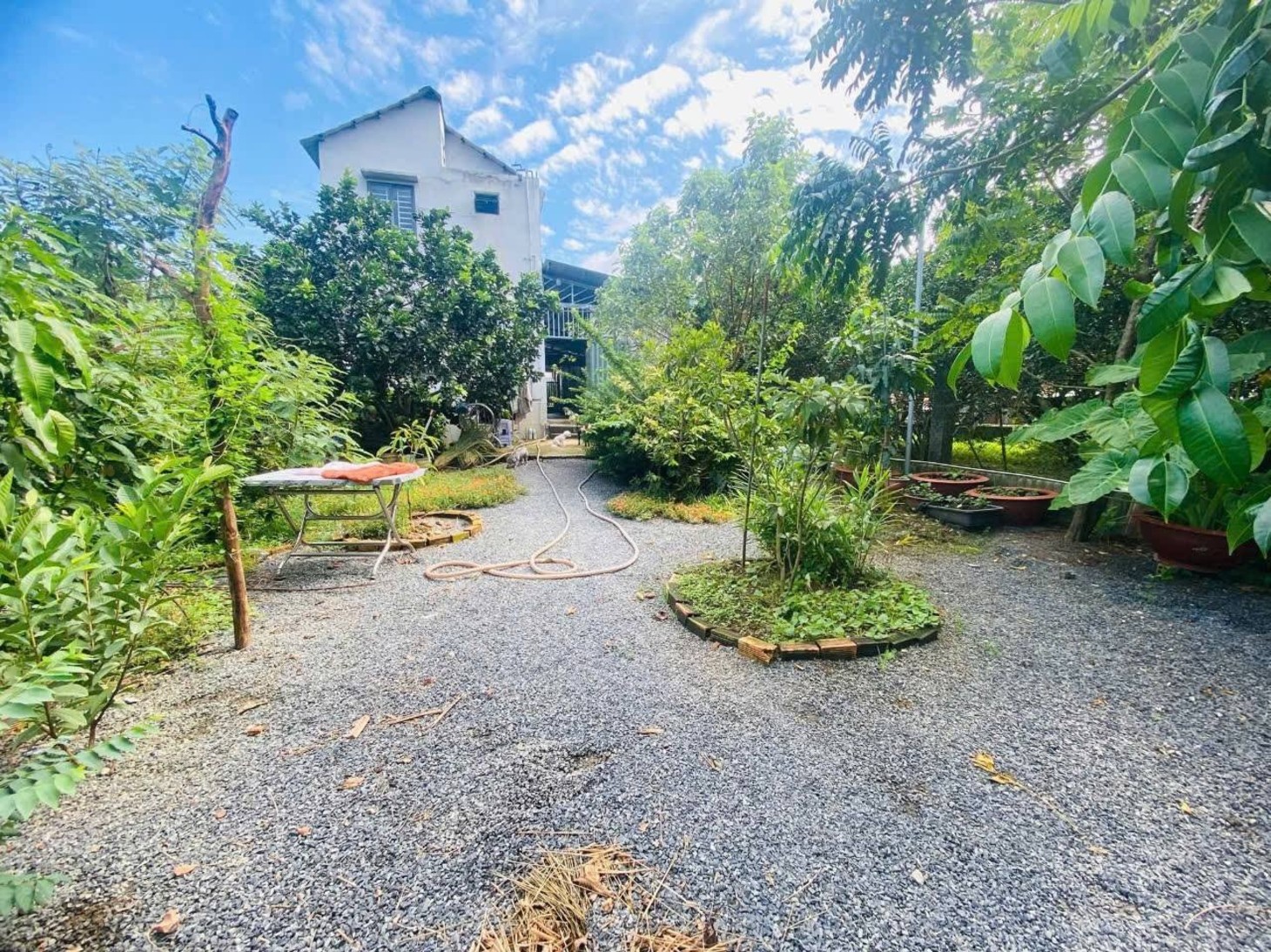 Bán nhà vườn mặt tiền Hương lộ 9, ngay tại làng bưởi Tân Triều, cơ hội kinh doanh sinh lời