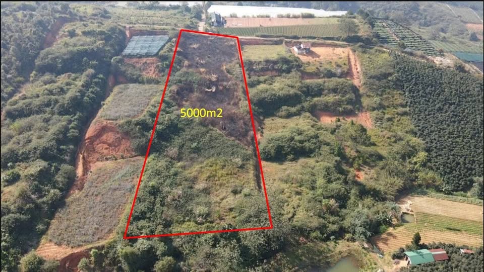 Cần bán 5 sào (5000m²) đất nông nghiệp tại Lạc Dương, đường ô tô, sát vườn có suối nhỏ, giá 2.7 tỷ