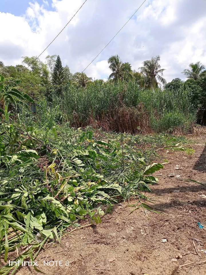 Bán nhà cấp 4, rạch Đường Gỗ, thuộc Phú Thứ, Cái Răng, Cần Thơ, giá 650 triệu