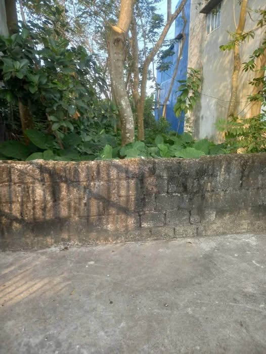 Chào bán mảnh đất ở Mỹ Tân, Nam Định cũ, gần Bệnh viện 700 giường, giá 1.2 tỷ