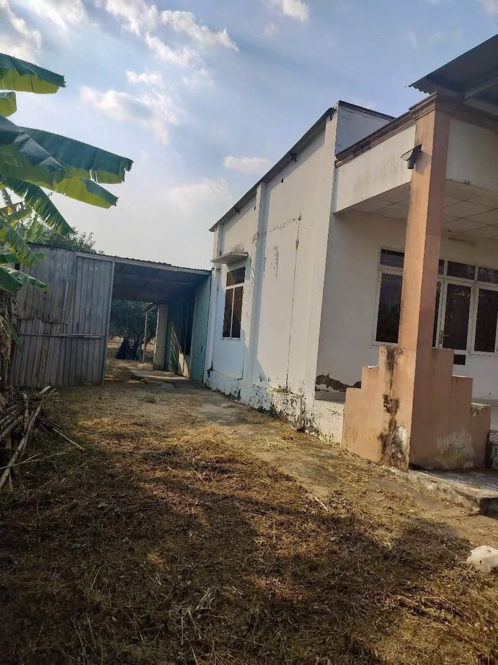 Bán nhà vườn phường Tân Triều mới, Vĩnh Cửu, giá 6.5 tỷ