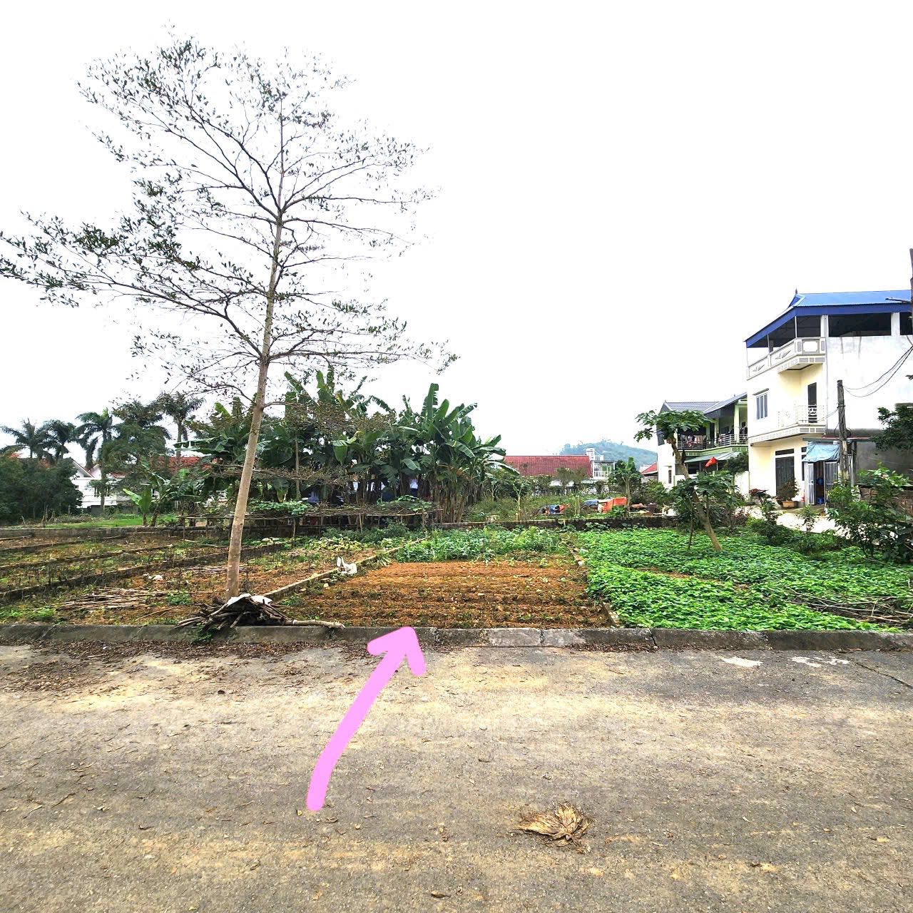 Bán đất thôn Miễu, Tiến Xuân, Thạch Thất, giá 3 tỷ