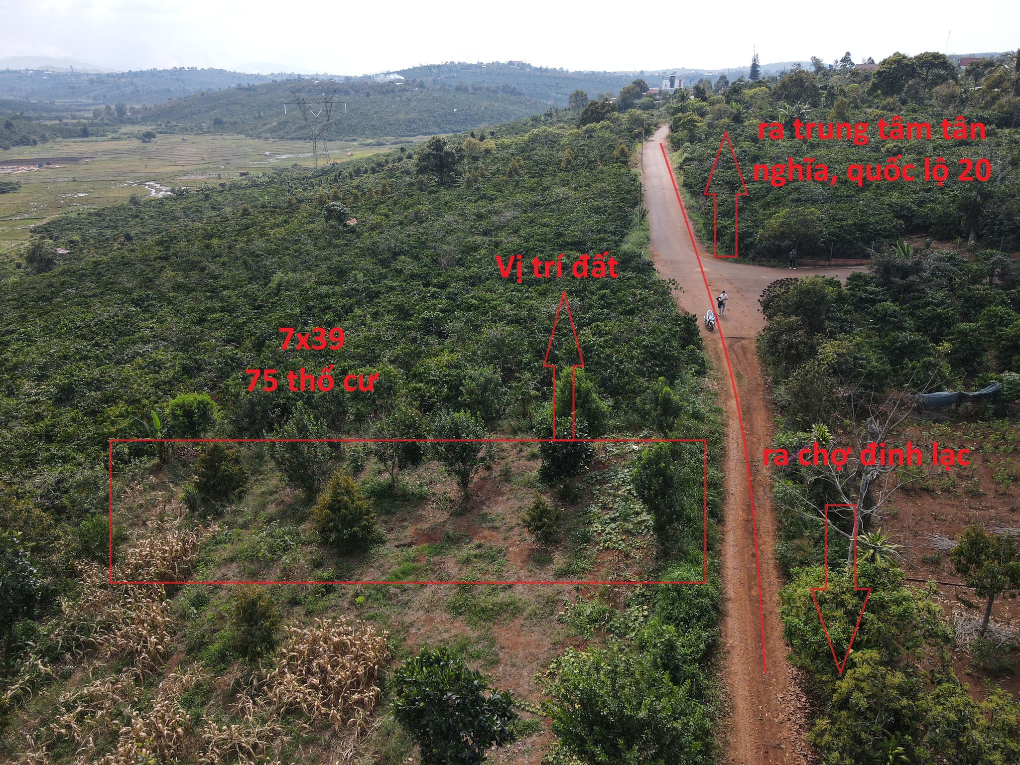 Bán lô đất đẹp tại Tân Nghĩa, Di Linh, giá 580 triệu, hẻm xe hơi