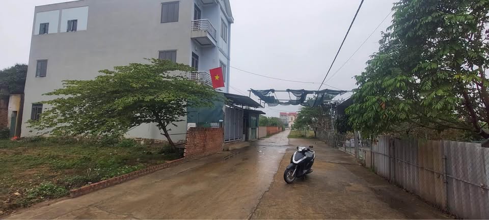 Bán đất bìa làng vị trí đẹp tại Thái Đường, Yên Ninh, đường 7m, giá nhỉnh 3 tỷ