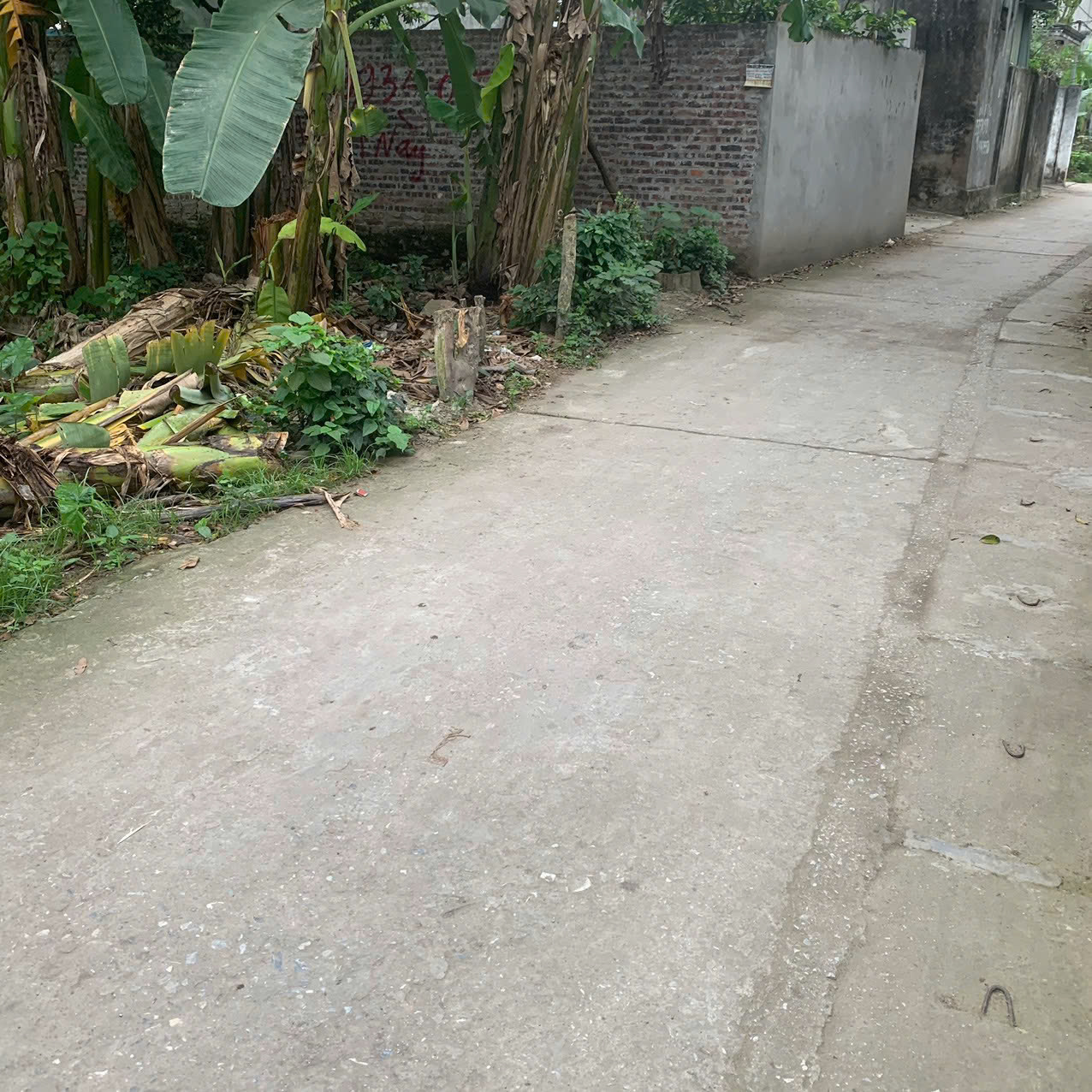 Đất chính chủ tổ dân phố Phượng Đồng, Chương Mỹ, ngay sát trường Đại học Sư phạm TDTT, ô tô vào đất