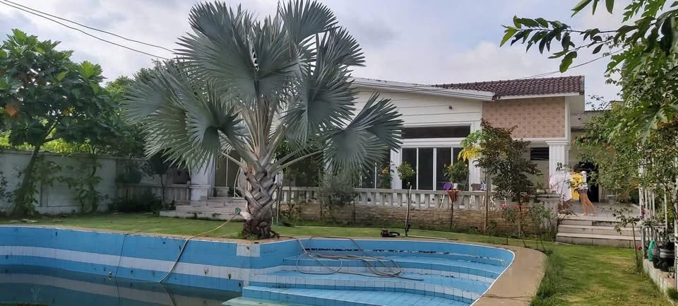 Bán biệt thự thành phố Thuận An, tỉnh Bình Dương giá 30 tỷ