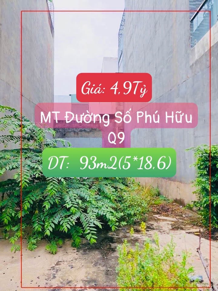 Bán đất thành phố Thủ Đức, thành phố Hồ Chí Minh giá 5,59 tỷ