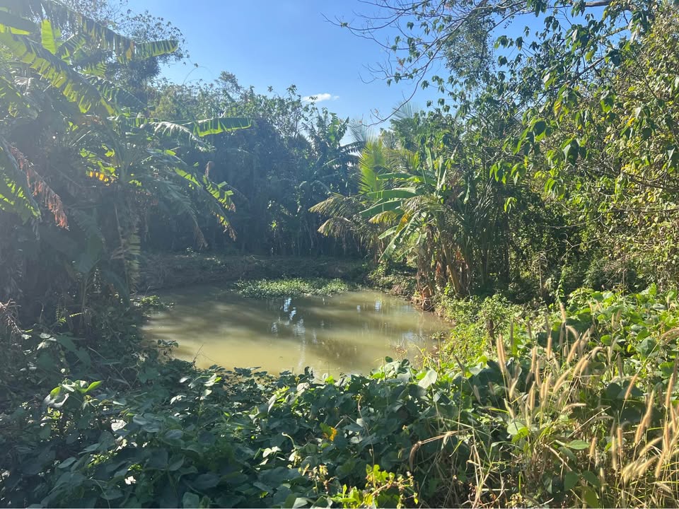 Bán đất hiếm trung tâm phường Ea Tam, Buôn Ma Thuột, giá 1.65 tỷ