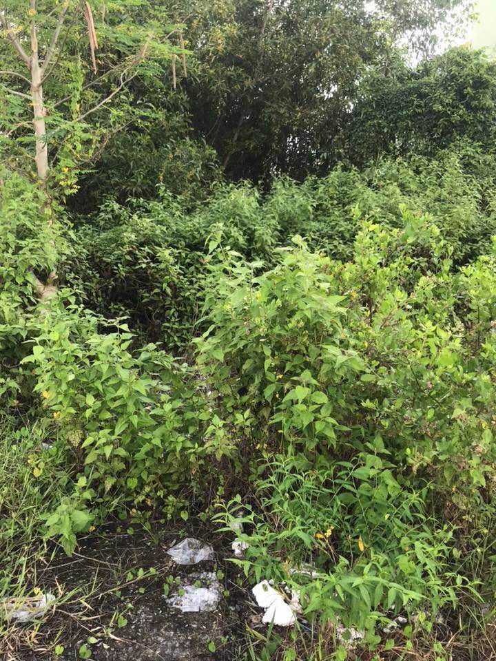 Bán đất nền hẻm xe hơi đường Núi Đèn, gần trung tâm Hà Tiên, giá 3.3 tỷ