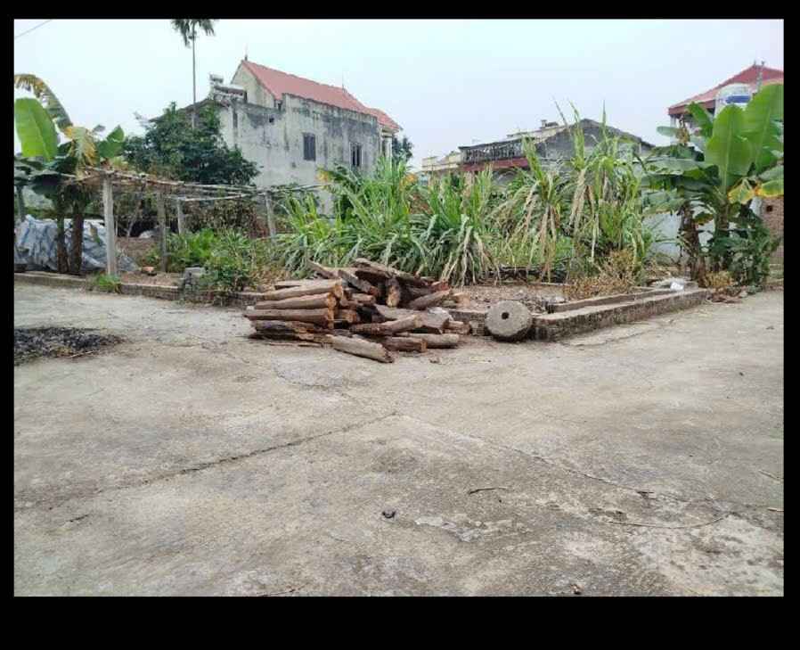 Bán nhà lô góc đắc địa đường Nhạn, Thư Lâm, Đông Anh, gần hồ điều hòa