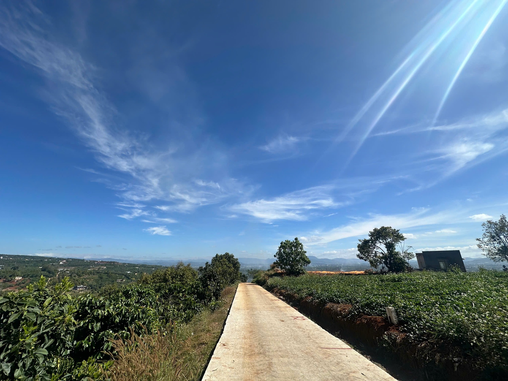 Bán đất tại Tân Hà, Lâm Hà, Lâm Đồng, cao ráo, thoáng gió, view đẹp, khí hậu mát mẻ quanh năm