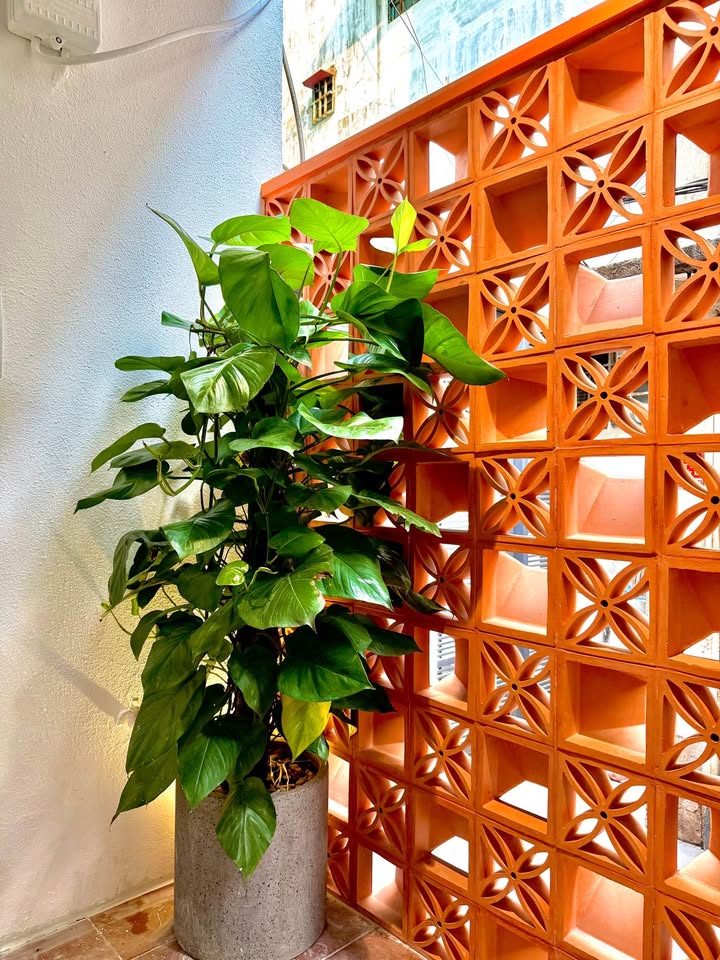 Bán nhà gần chợ Phú Nhuận, Phan Đình Phùng, giá 5.5 tỷ