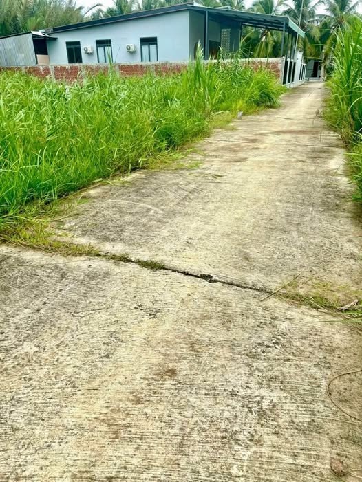 Bán nền An Thạnh, Mỏ Cày Nam, Bến Tre cũ, cách Quốc lộ 60 mới 250m, xe hơi tới đất, nền bơm cát bằng phẳng