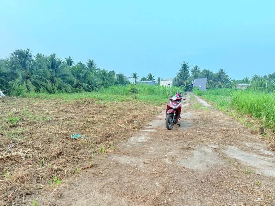 Bán đất Hữu Định, diện tích 504m², ngang 25m, hẻm xe hơi tới đất, giá 650 triệu