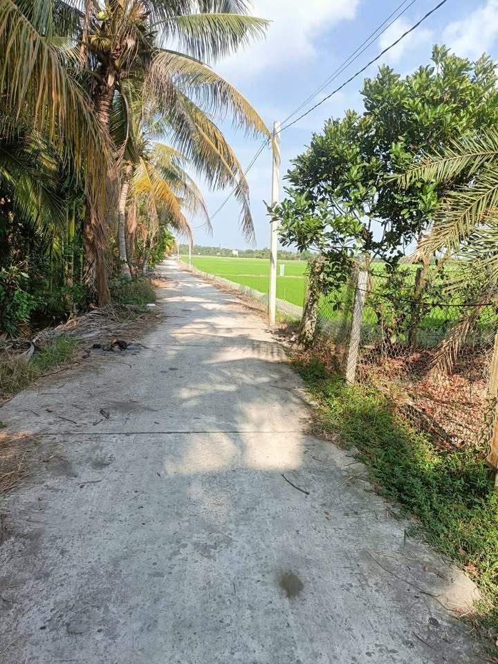 Bán đất vườn tại Châu Phú B, Châu Đốc, mặt tiền lộ nhựa, giá hơn 2 tỷ