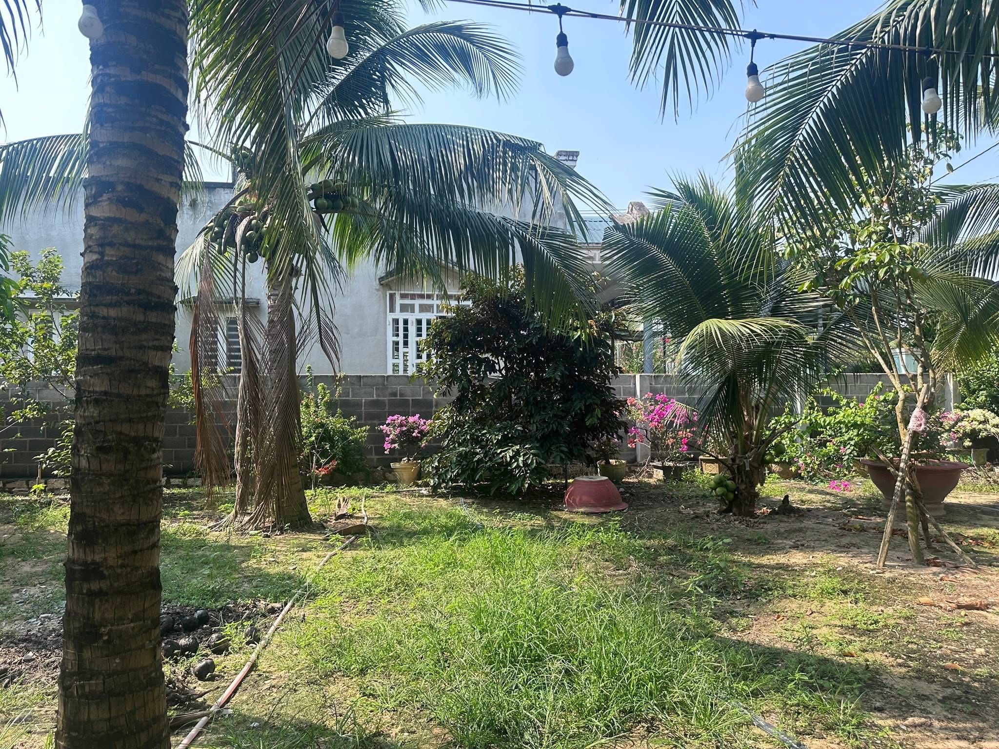 Bán nhà vườn tại xã Phước Hải, Đất Đỏ, diện tích 869m2, giá 3.5 tỷ