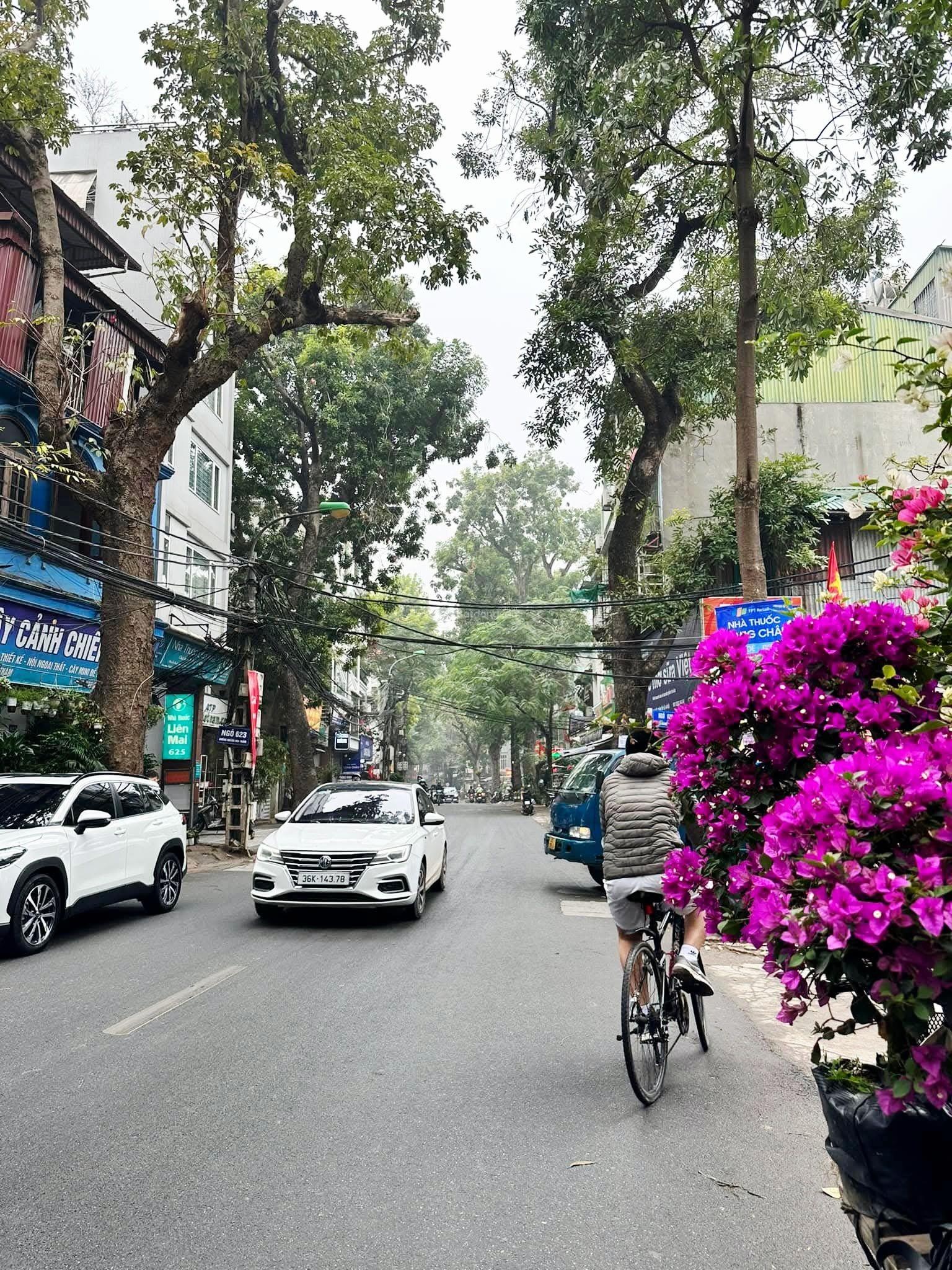 60 tỷ mặt phố Hoàng Hoa Thám 218m2*4T MT7m - ngay Liễu Giai, Văn Cao, view Hồ Tây thơ mộng