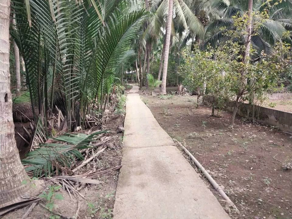 Bán nhà riêng huyện Mỏ Cày Nam, tỉnh Bến Tre giá 2,2 tỷ