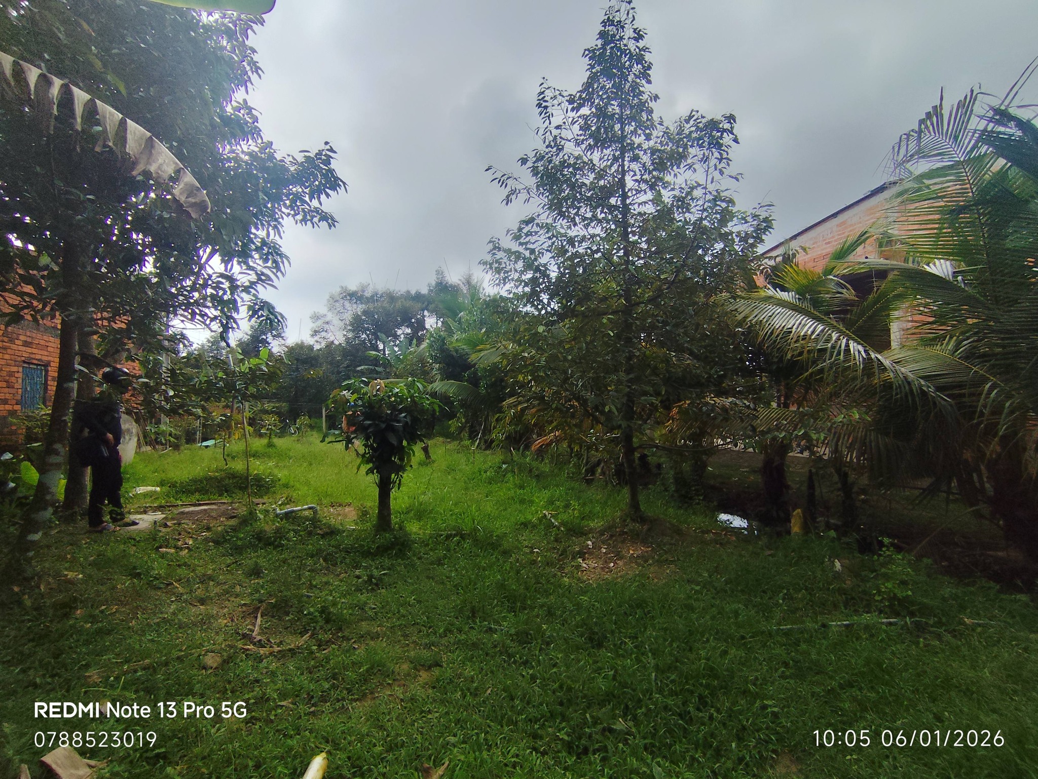 Bán đất huyện Chợ Lách, tỉnh Bến Tre giá 260 triệu