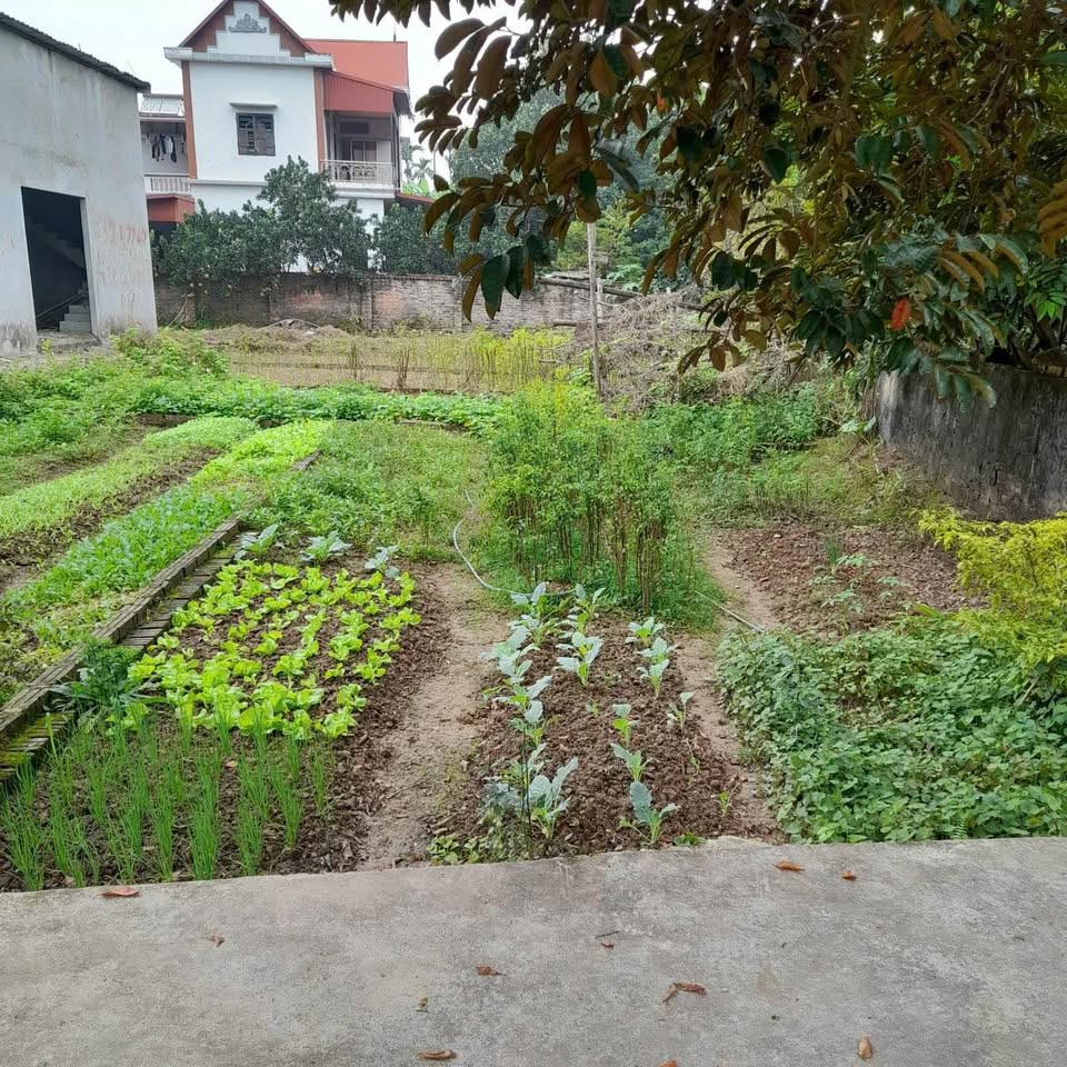 Bán đất huyện Phúc Thọ, thành phố Hà Nội giá 1,2 tỷ