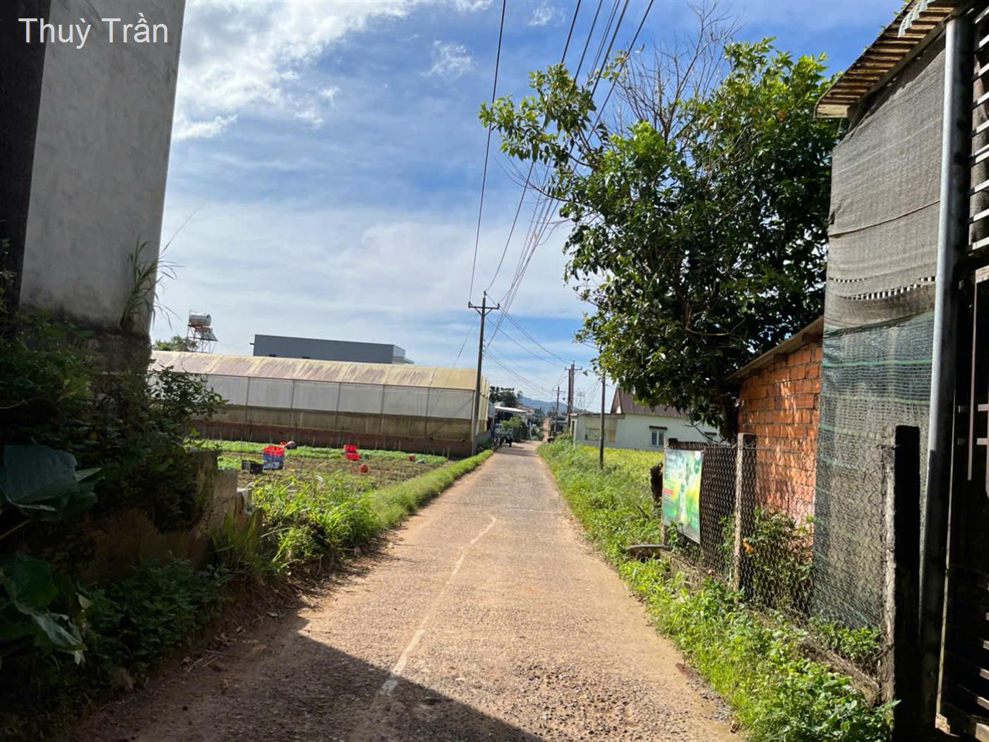 Bán mặt bằng huyện Đơn Dương, tỉnh Lâm Đồng giá 699 triệu