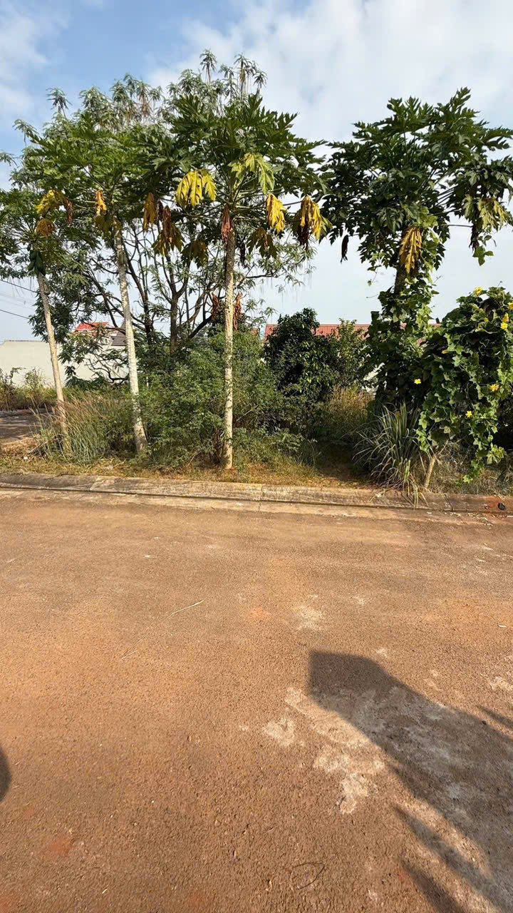 Bán nhà riêng thành phố Bà Rịa, tỉnh Bà Rịa, Vũng Tàu giá 2,45 tỷ