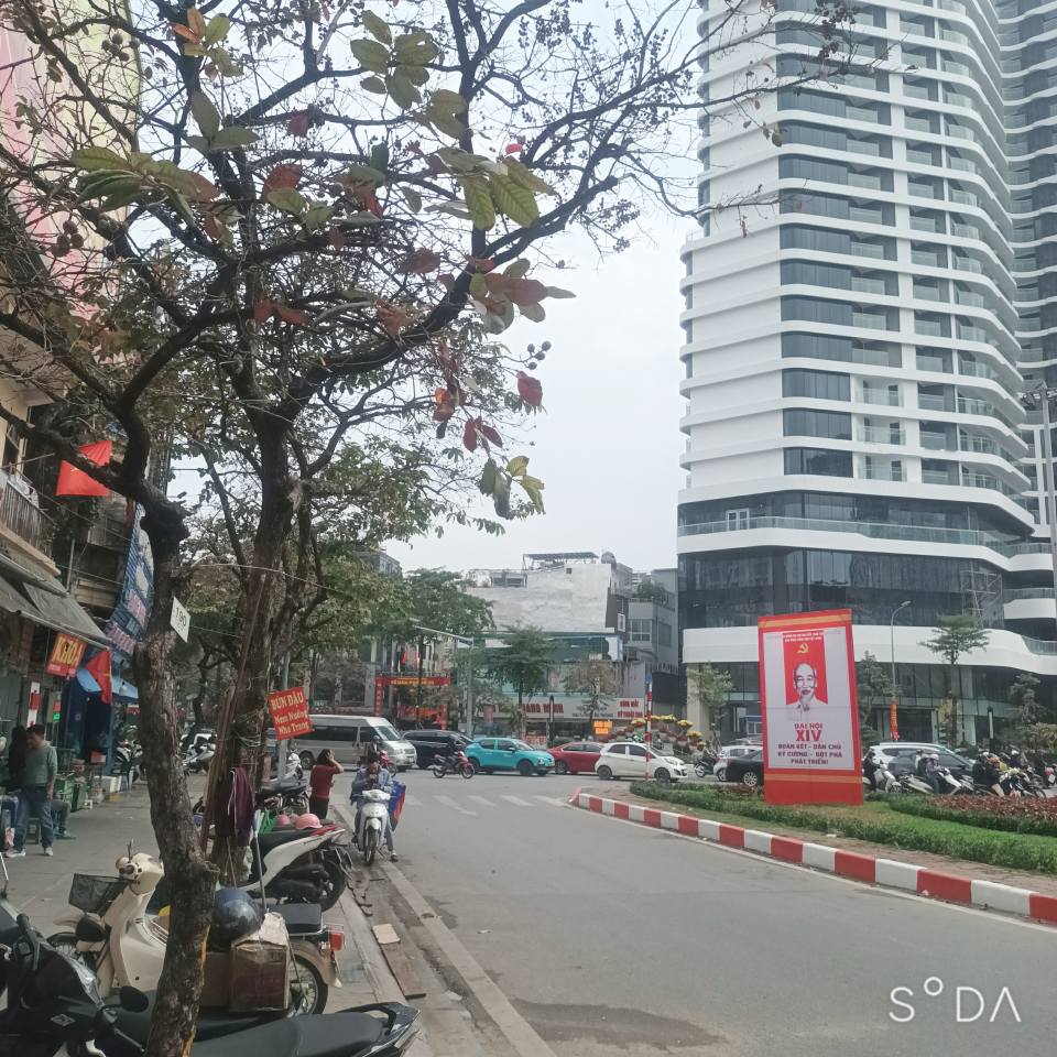 Bán nhà riêng quận Cầu Giấy, thành phố Hà Nội giá 10,8 tỷ