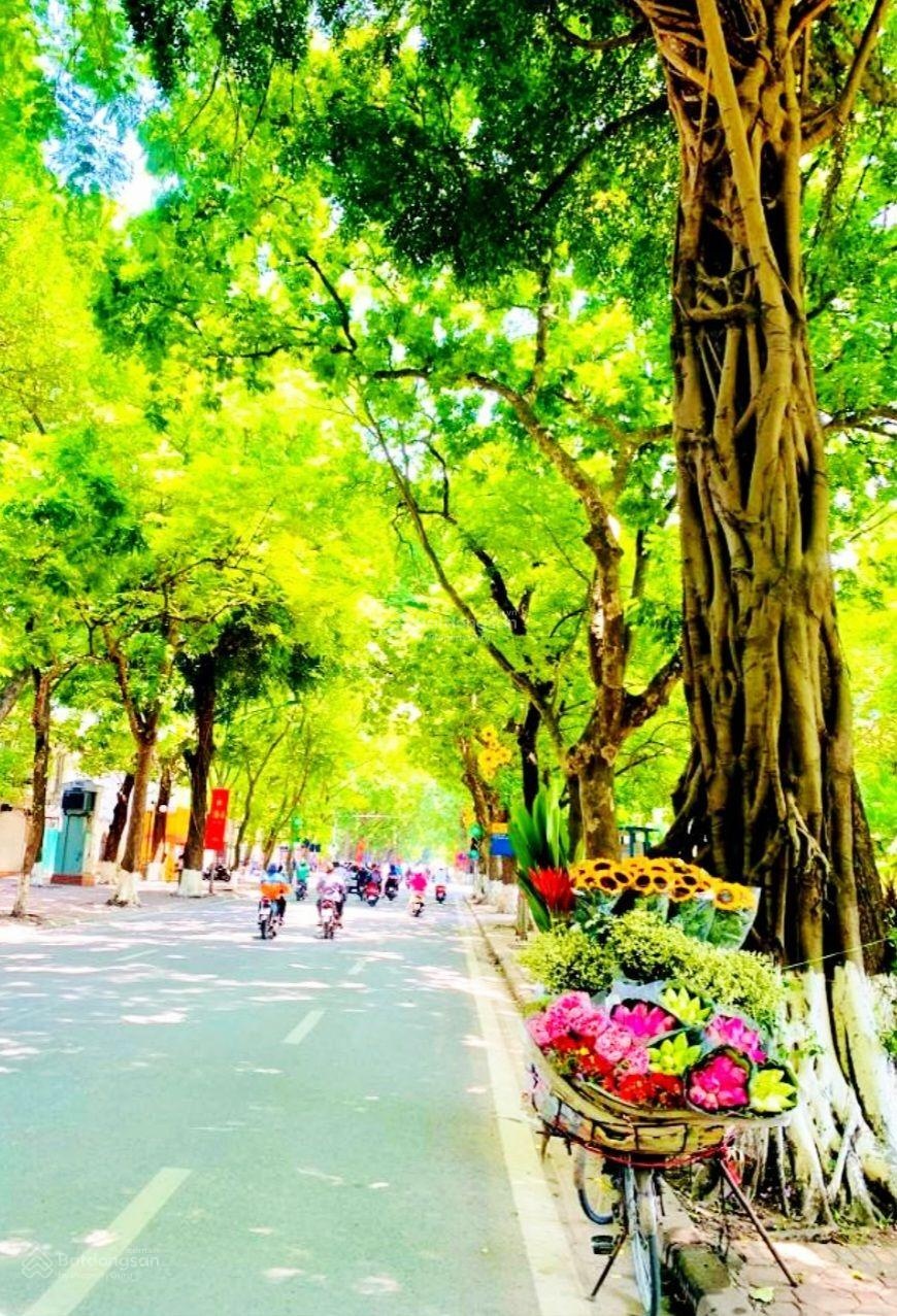 Siêu phẩm mặt phố phan đình phùng 55m*7t mt5m 55 tỷ lô góc view hồ tây - hồ trúc bạch tuyệt đẹp.