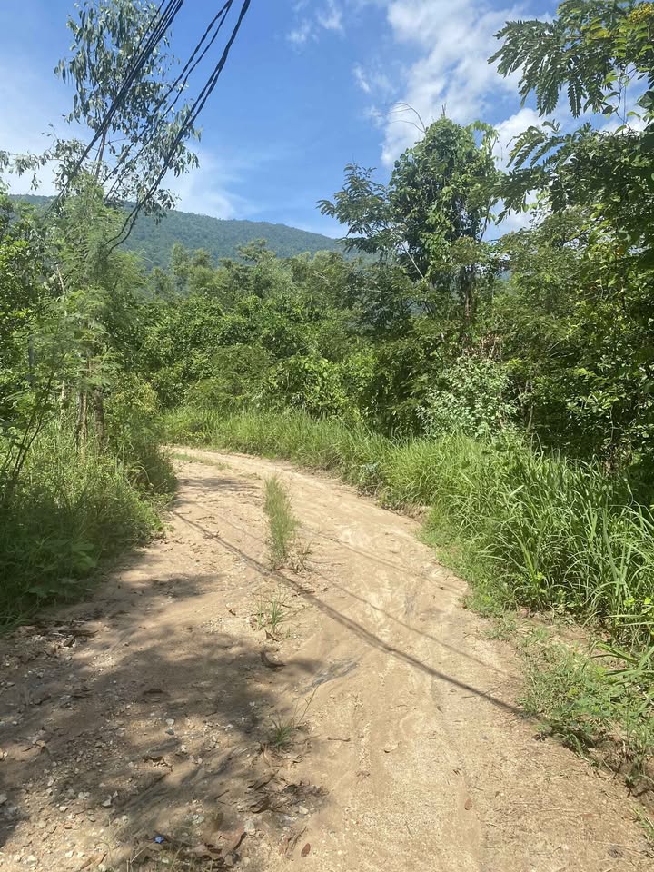 Bán hơn 5000m2 đất nông nghiệp gần suối, bám đường 123m, ô tô tận nơi