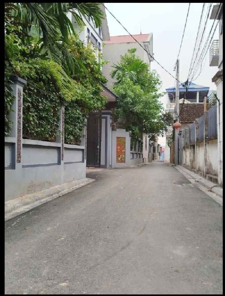 Bán đất huyện Đông Anh, thành phố Hà Nội, giá cả thương lượng