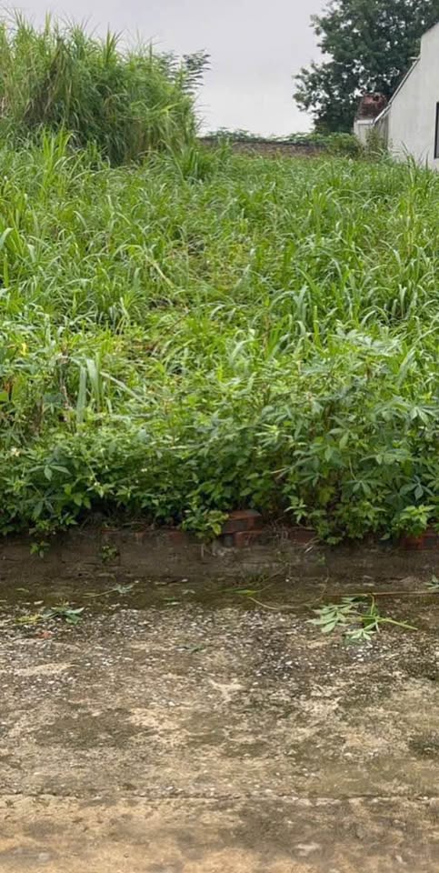 Bán đất huyện Ba Vì, thành phố Hà Nội, giá 1 tỷ