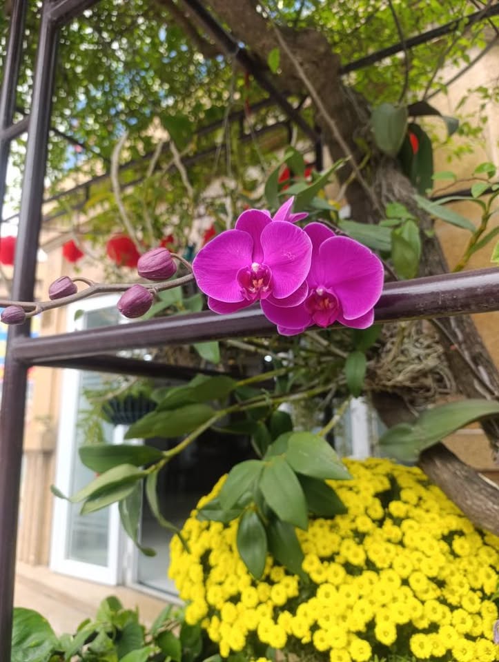 Bán nhà riêng huyện Thường Xuân, tỉnh Thanh Hóa, giá 2 tỷ