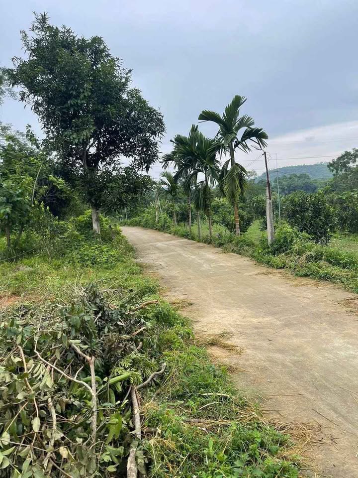 Bán đất thành phố Tuyên Quang, tỉnh Tuyên Quang, giá 1 tỷ