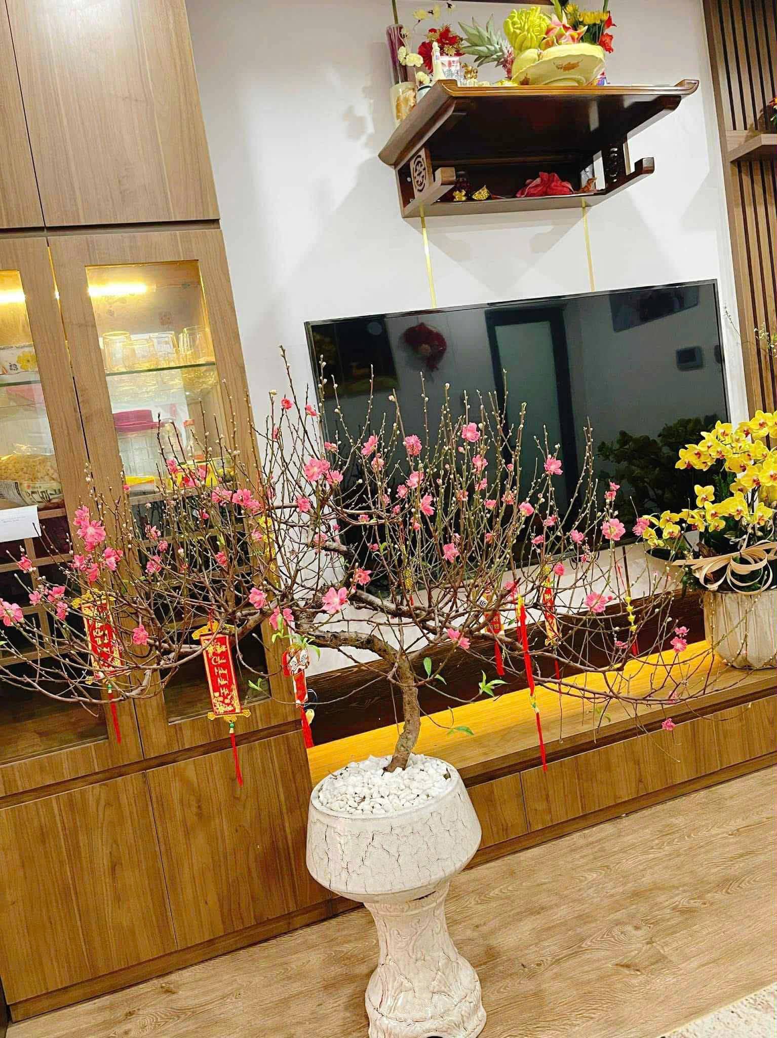 Bán căn hộ chung cư thành phố Vinh, tỉnh Nghệ An, giá 3 tỷ