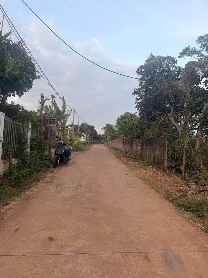 Bán đất vàng 4x32m, 1.25 tỷ tại hẻm Đào Duy Anh, Buôn Ma Thuột