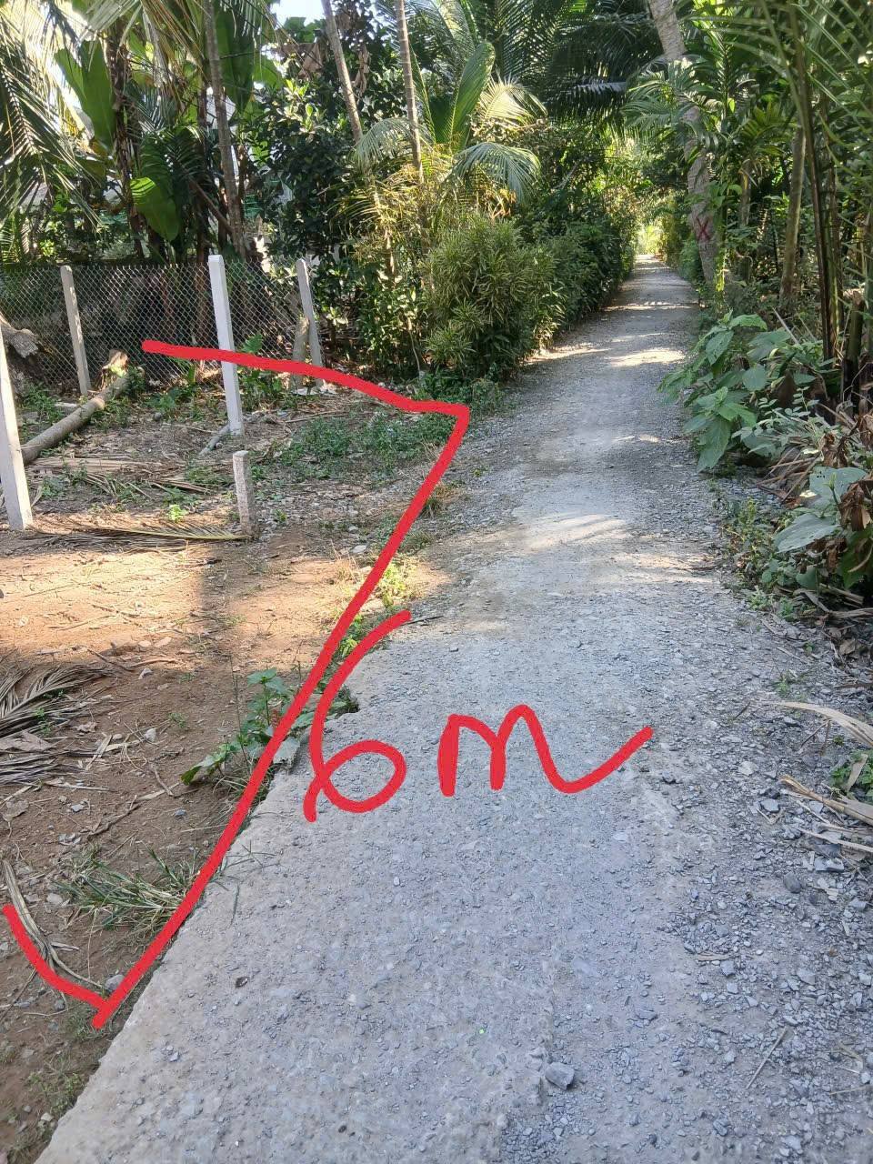 Mảnh đất vuông vức 249m2 tại Bến Tre, sổ sẵn