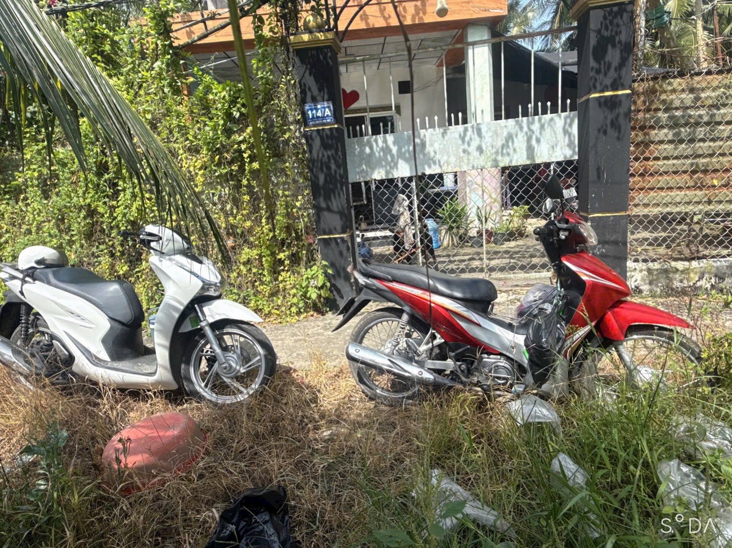 Bán đất vườn dừa xiêm 500m² tại Phú Tân, Bến Tre, giá 550 triệu